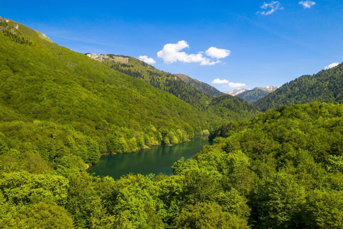 Kolasin Valleys